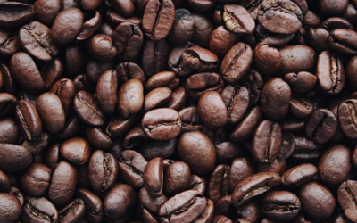 The Miracle of Food.